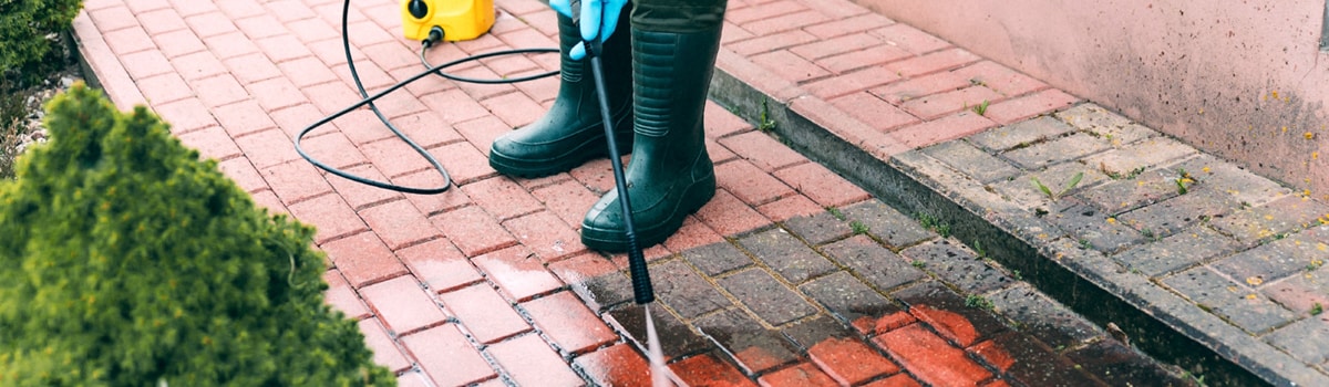 Handheld Professional Electric Power Washer Buyer's Guide